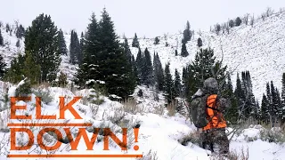 Late Season Montana Elk Hunt-2020