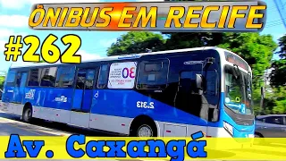 #262 Av. Caxangá ( parte 2 ) - Movimentação de ônibus no Recife -