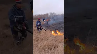 Пожары в Приамурье