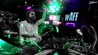 wAFF at SENSES, San José, Costa Rica, December 2023 - Shot by Dulbecco | FREE SHOTS #43