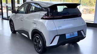 New BYD Seagull 2023 in-depth Walkaround