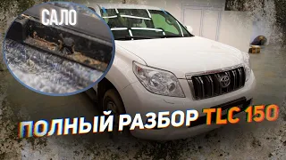 Полный разбор Toyota Land Cruiser Prado 150 #ДЕНЬМАСТЕРА №6