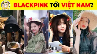 🔥BORN PINK 🔥 BLACKPINK Đến Việt Nam Và 18+9 Bí Mật Về BlackPink Mà Bạn Nhất Định Phải Biết