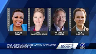 4 diverse candidates look to takeover Legislative District 13