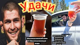 Хабиб передал квас: Мага Исмаилов чужое вкуснее - Ислам Махачев Зубайра Владикавказ 🦅