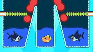 Save the fish|Pull the pin|Updated level game| Android game |Mobile puzzle game |fish game|Max level