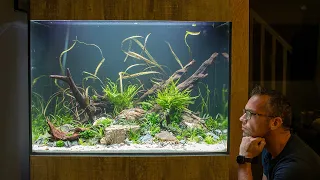 BEST TALL AQUASCAPE TUTORIAL ** INSTANT IMPACT **