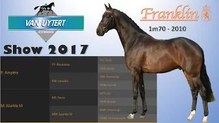 Franklin kwpn - Van Uytert 2017