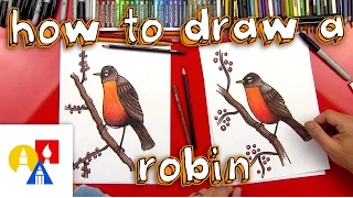 How To Draw A Robin Bird (realistic)