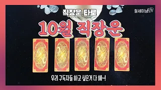 [타로운세] 10월 직장운 타로✨(취직운, 이직운, 퇴사운까지!)