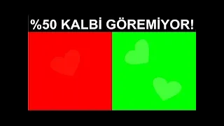 DUYMAYAN KALMASIN Romantik Komedi 2: Bekarlığa Veda (2013 - HD) | Türk Filmi