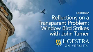 Reflections on a Transparent Problem: Window Bird Strikes with John Turner