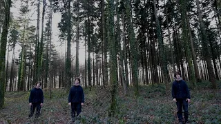 Cosmo Sheldrake - The Woods (live in the woods)