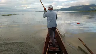 Masipag kung tatay . Pangingisda ang kinabubuhay ./ Tibog sa Laguna lake.