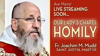 Memorial of Saint Justin, Martyr - June 1 - Homily - Fr Joachim