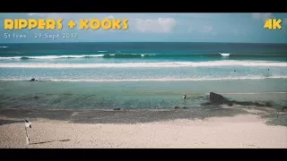 RIPPERS + KOOKS  - Surf St Ives - 29 Sept 2017