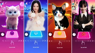 CUTE CAT COVER FLOWER vs BLACKPINK JISOO FLOWER BONGO CATS COVER BLOOD MARY vs WEDNESDAY DANCE SONGS