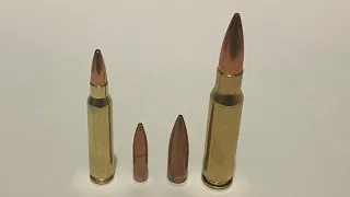 5.56 & .308 vs 5 gallon water jugs at 300 yards part 2