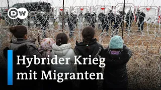 "Hybrider Krieg mit Migranten: Wer stoppt Lukaschenko?" | Auf den Punkt
