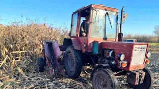 КУКУРУДЗЯНИЙ КОМБАЙН НА Т_25, Так кукурудзу я ще не молотив