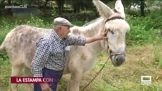 Labores del campo a la antigua usanza