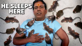 This Man Worships 20,000 Rats in India