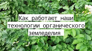 ПАН156 Наш БИОгумус лучшее органическое удобрение Здоровый урожай Плодородие