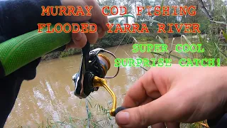 Yarra River fishing | The Search For A 1m Murray Cod EP.2 #native #fishing #australian #yarra #cod