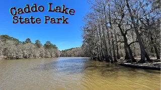 Caddo Lake State Park Campsite #40 Review And Other Campsites