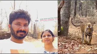 Tadoba Zari Peth Safari Gate Tiger (Moghli)