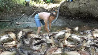 Unique fishing - Girl catching a lot of fish in a wild lake by using a big pump to suck water