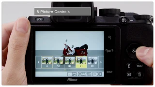 Nikon Z 50 Tutorial: Get the results you want - Picture controls