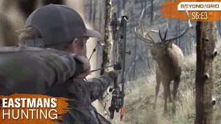 Facing Off with a Giant! Bow Hunting Backcountry Bulls in Grizzly Country 4K