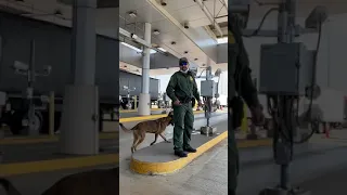 Cruzando La Frontera De Mexico Laredo Nuevo Laredo