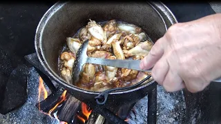 Pomana porcului cu aripioare de pui si cartofi prajiti la disc Vlog Culinar Maxim