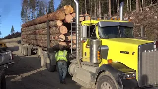 A Nice Day For A Log Truck Ride