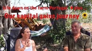 Life down on the farm Portugal 🇵🇹 plus …..our capital gains journey 🌻