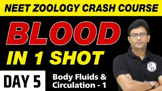 BLOOD in 1 Shot - Body Fluids and Circulation 01 | UMMEED