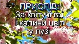 Квітуча Україна - Н.Май (мінус із текстом) - Патріотичні пісні для школярів