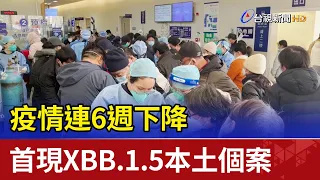 疫情連6週下降 首現XBB.1.5本土個案