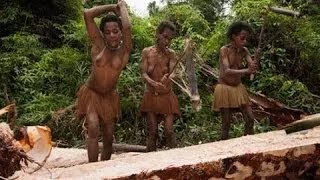 Korowai Tribe : Cannibal tribes in the past - The Best Documentary Ever