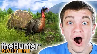 IT'S TURKEY TIME! Hunter Call of the Wild Ep. 70