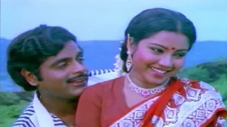 Mr.Raja-ಮಿಸ್ಟರ್ ರಾಜಾ Kannada Movie Songs | Mutthina Mooguthi Ittu Video Song | Ambarish | TVNXT