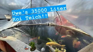 Uwe‘s 35000 Liter Koi Teich im Kuppel Zelt mit teils brutalen Jumbo Koi!!