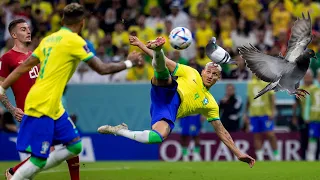 Richarlison Goal vs Serbia - Crazy Fans Reactions - Brazil vs Serbia World Cup 2022