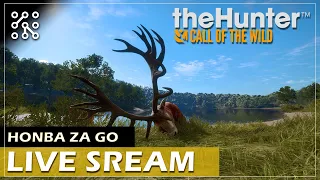 Great One na Cuatro Colinas | The Hunter: Call of the wild CZ  | Lets play | Česky