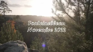 Fontainebleau Bouldering November 2022 - 7A to 7C