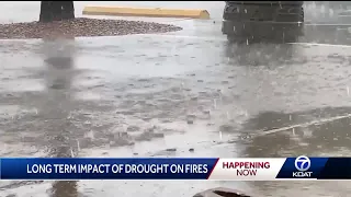 Long term impact of New Mexico's drought and fires