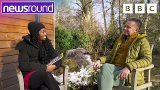 Chris Packham answers YOUR questions! | Newsround