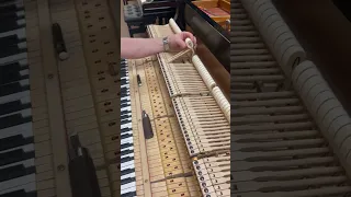 Action on a Steinway B Grand Piano